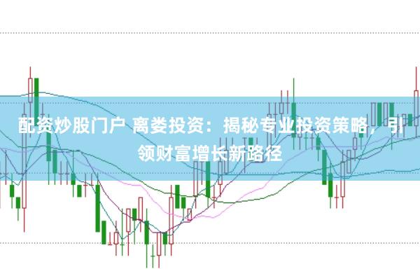 配资炒股门户 离娄投资：揭秘专业投资策略，引领财富增长新路径