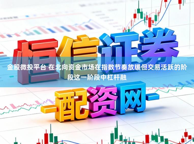 金股微投平台 在北向资金市场在指数节奏放缓但交易活跃的阶段这一阶段中杠杆融
