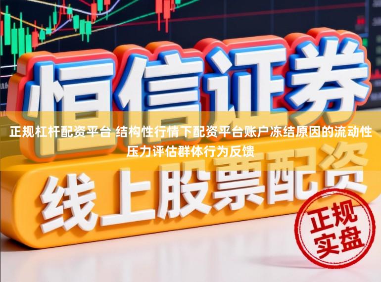 正规杠杆配资平台 结构性行情下配资平台账户冻结原因的流动性压力评估群体行为反馈